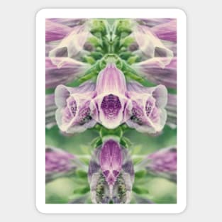 Digitalis purpurea Sticker